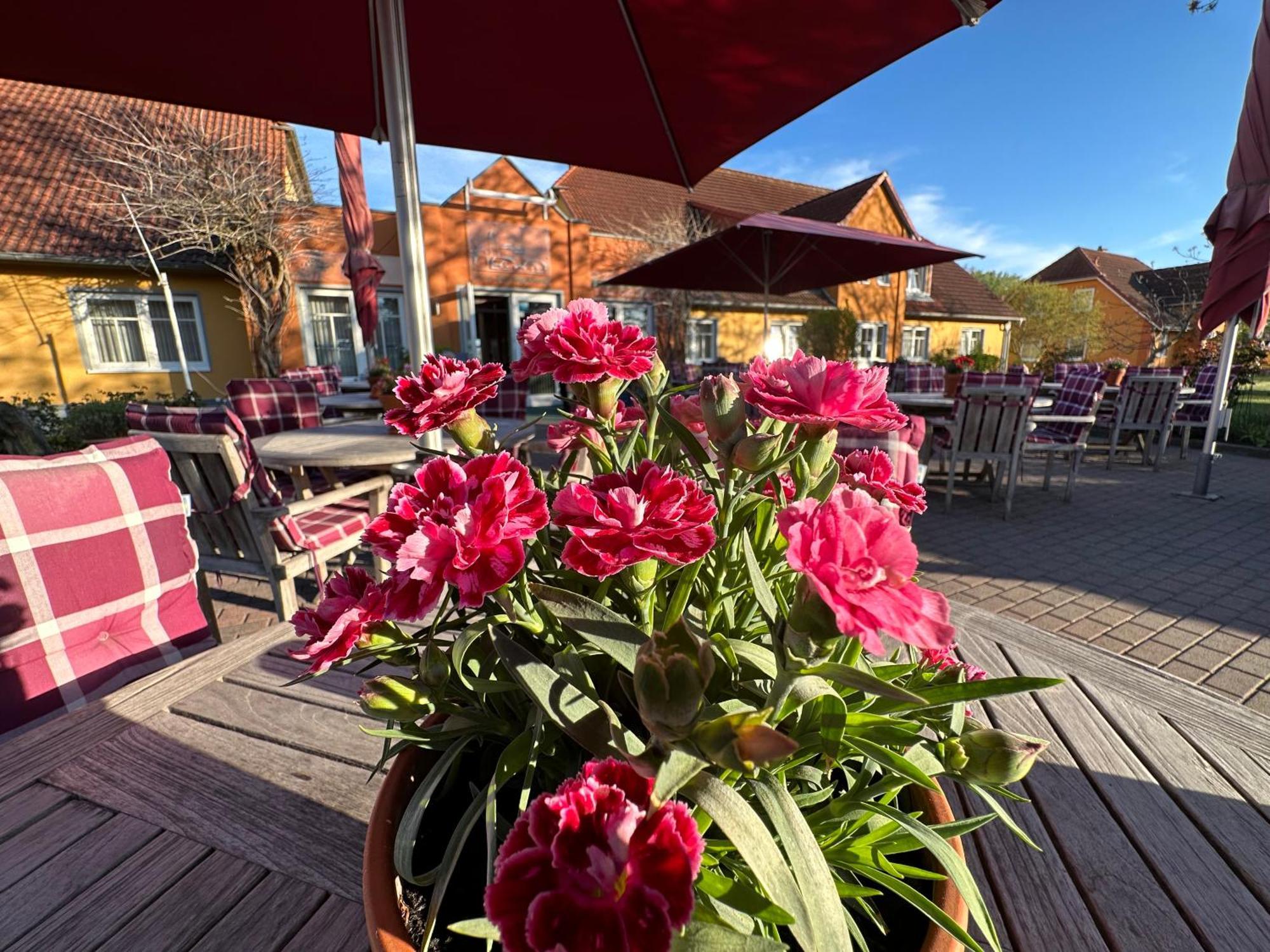 Hotel & Restaurant Zum Kap Arkona Putgarten Экстерьер фото